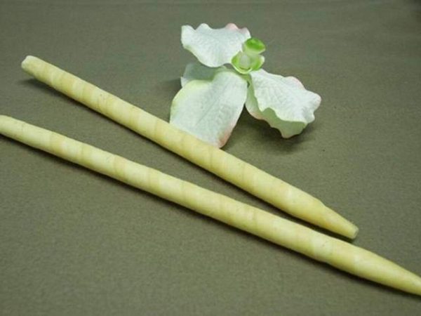 conoterapia-para-sinusitis