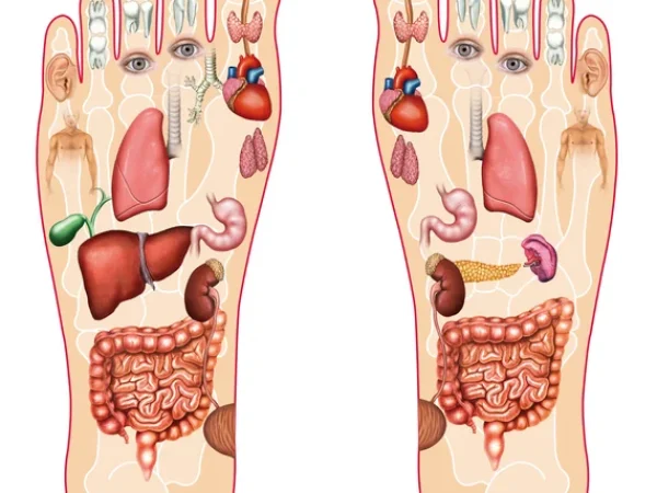 depositphotos_19128155-stock-illustration-reflexology